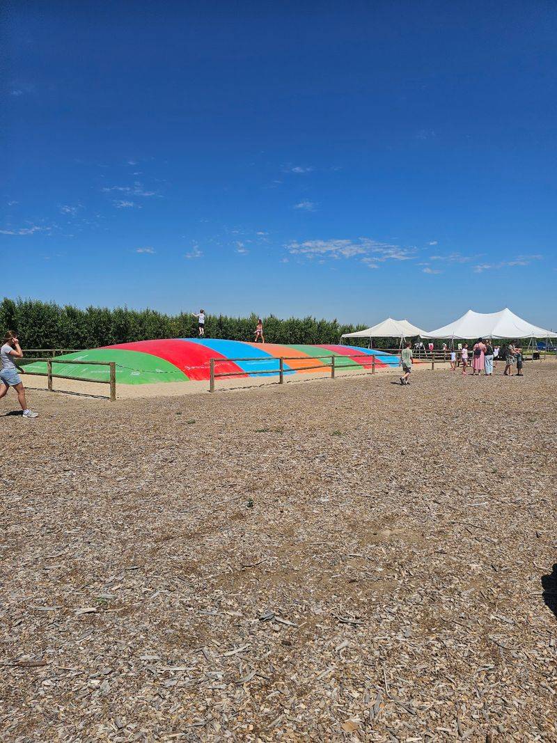 You Can Bounce, Slide, And Digg Through Cherry Pits