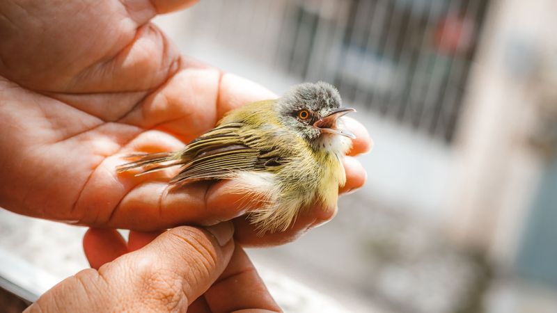 Make A Donation That Supports Daily Care