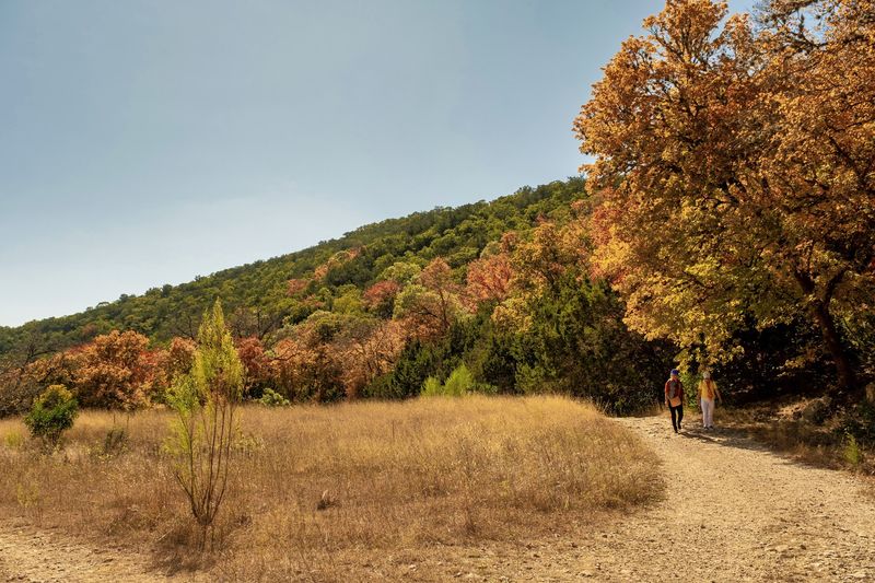 Timing Your Trip For Peak Leaf Season