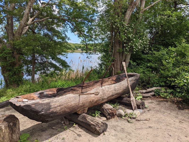 Somebody Is Carving A Canoe Out Of A Whole Tree