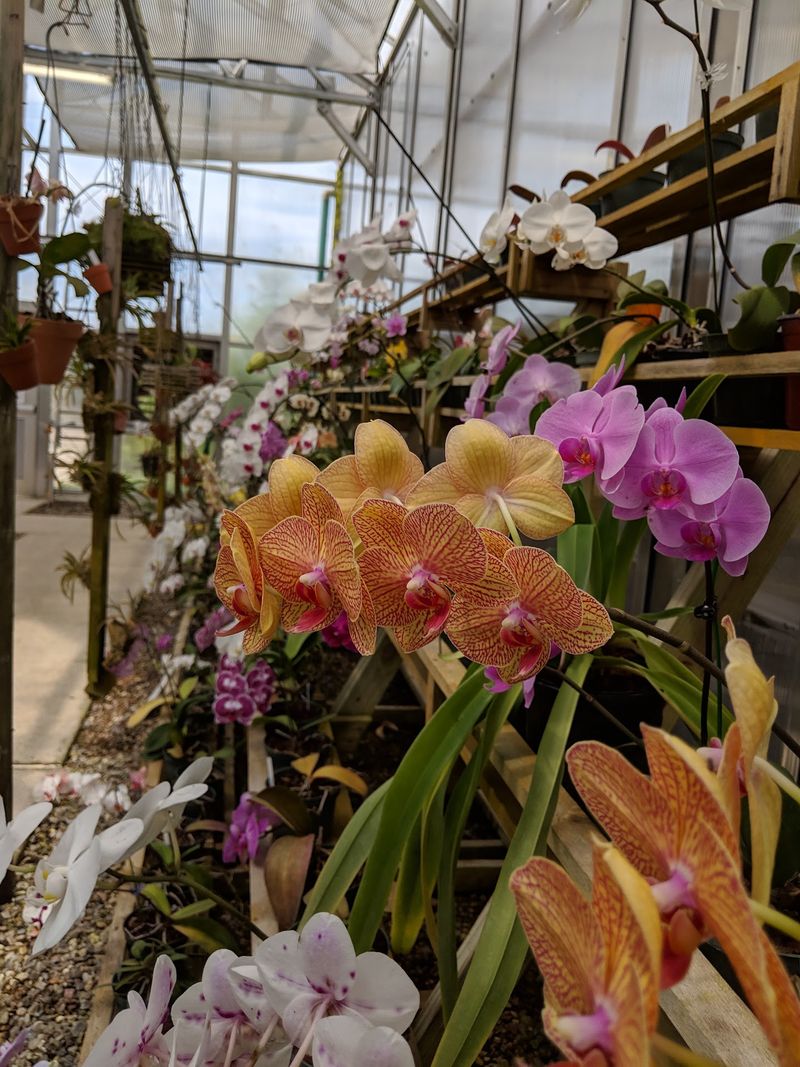 South Texas Botanical Gardens & Nature Center