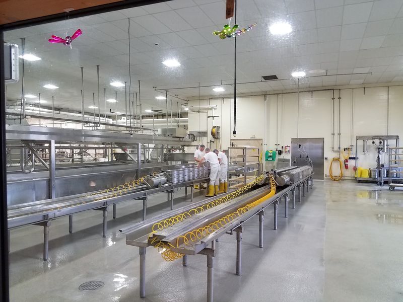 A Wisconsin Master Cheesemaker Guides Production
