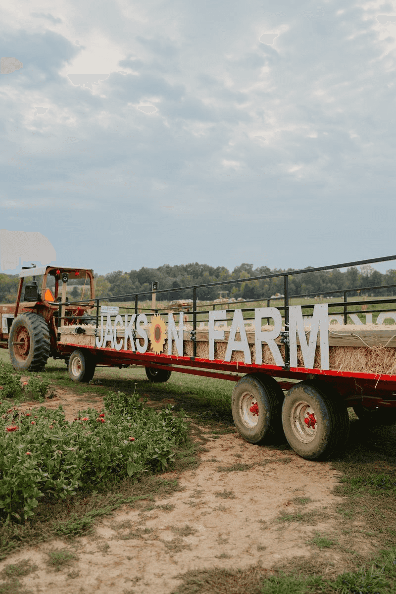 Take A Hayride Through The Arkansas Countryside