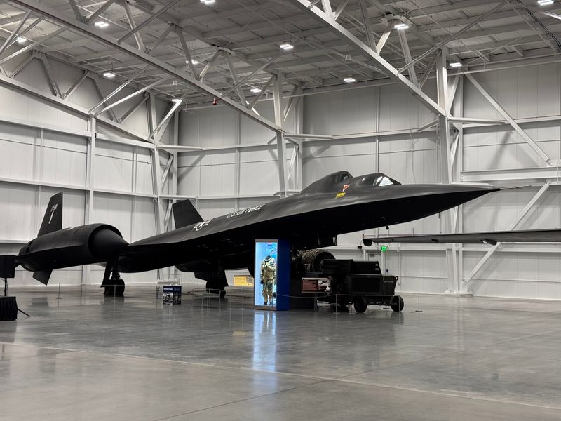 The Blackbird Steals The Show Without Even Trying