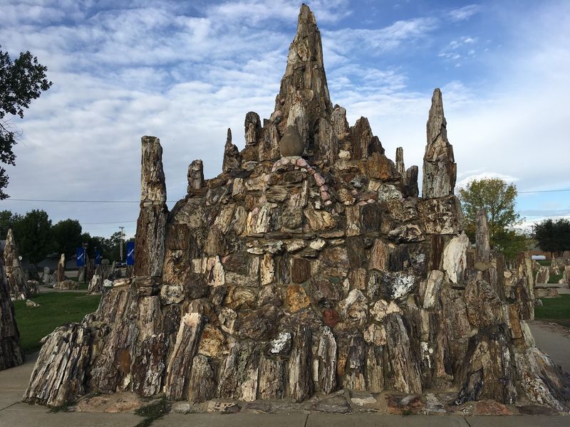 Thousands Of Tons Of Petrified Wood Fill The Grounds