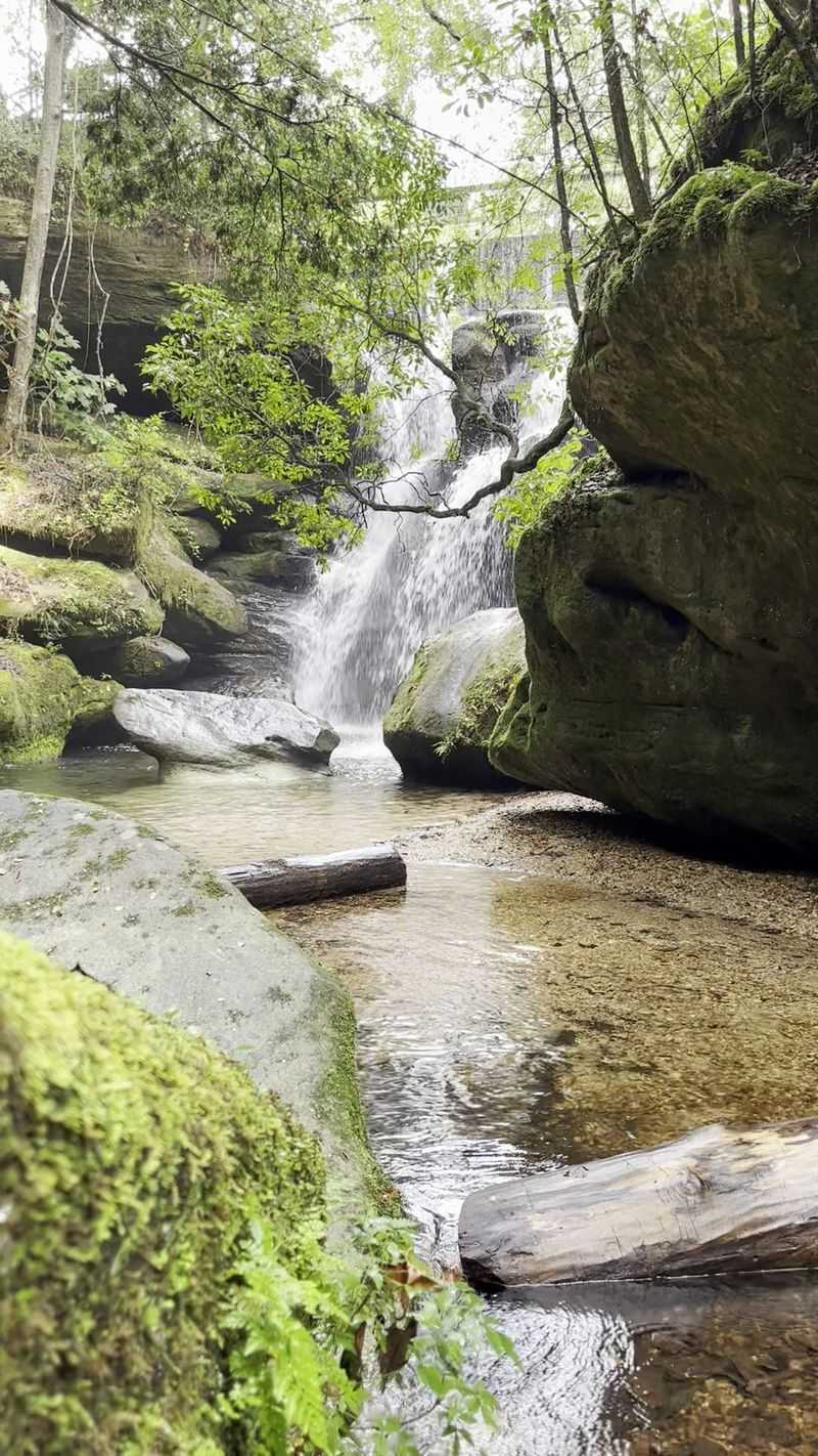 Dismals Branch Runs Through The Gorge