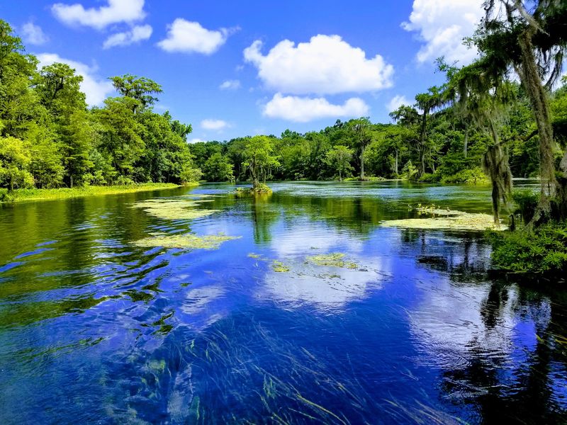Edward Ball Wakulla Springs State Park