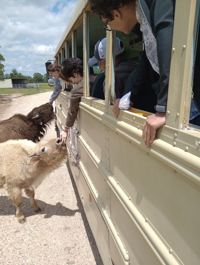 Aggieland Safari