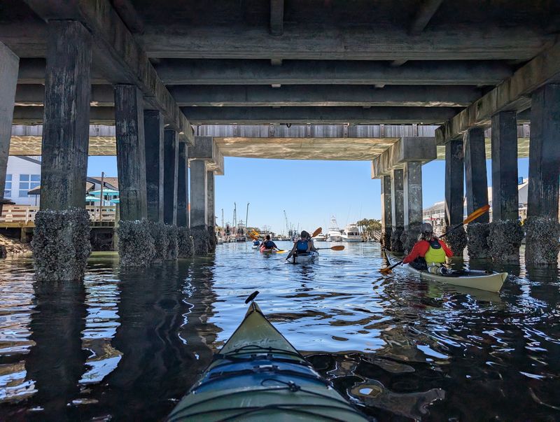 Naturalist Guides Lead The Paddle Through The Wetlands