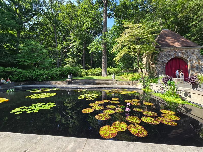 A 1,000-Acre Estate Features Rolling Meadows And Woodlands