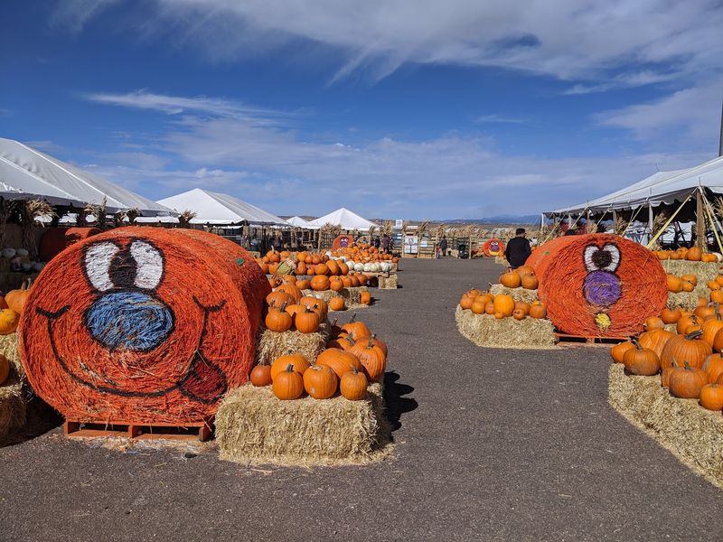 Galloping Goat Pumpkin Patch, Rio Rancho, NM