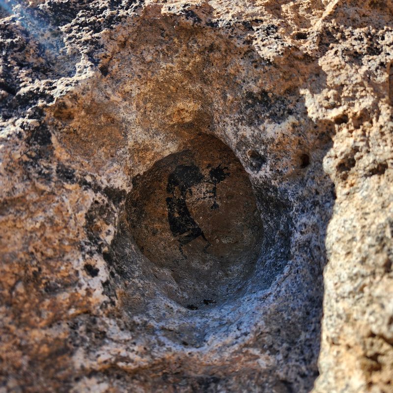 Ancient Neighbors Left Clues In The Stone