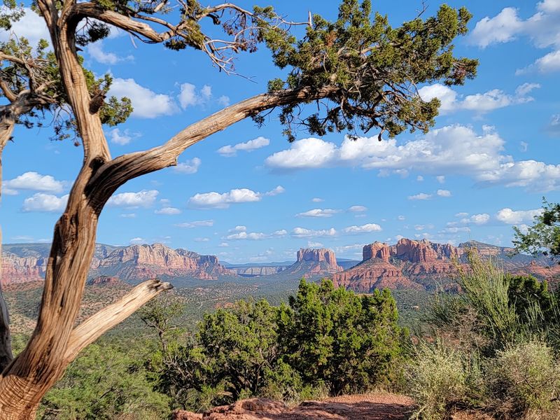 Upper Red Rock Loop Road