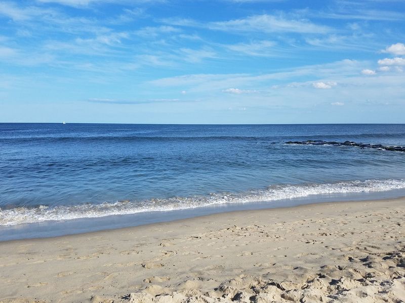 Seaside Roots Stretching Back To 1869