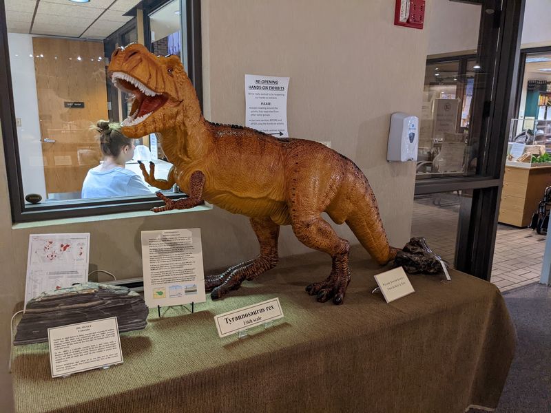 Little Paleontologists Get Plenty Of Hands-On Fun