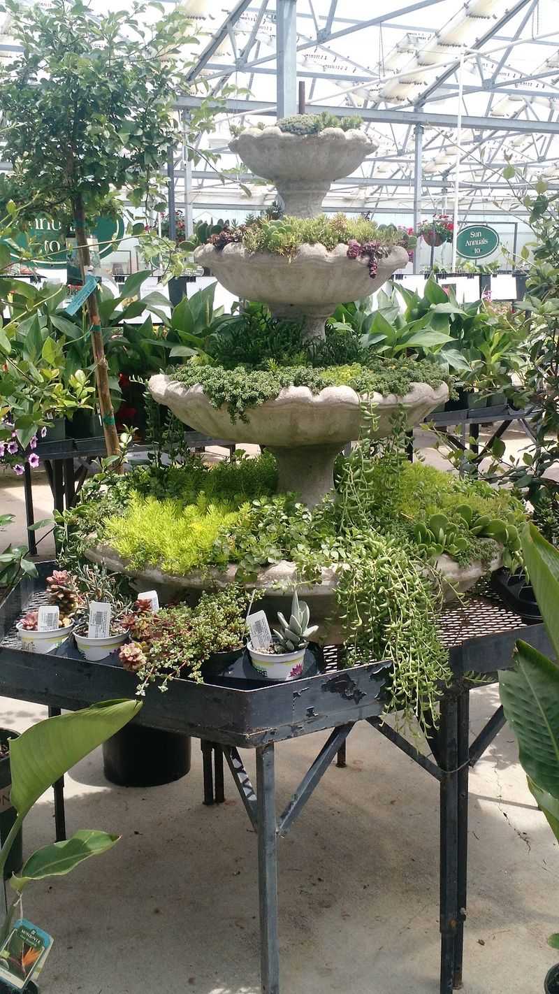 Good Plants At Fair Prices Is Baked Right Into The Mission