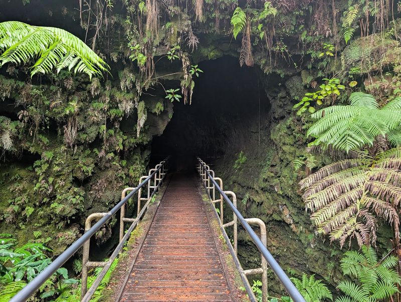 Add A Lava Tube And Make 2026 Your Year To Go