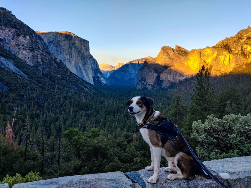 Climb Higher For A Quieter Look At The Valley