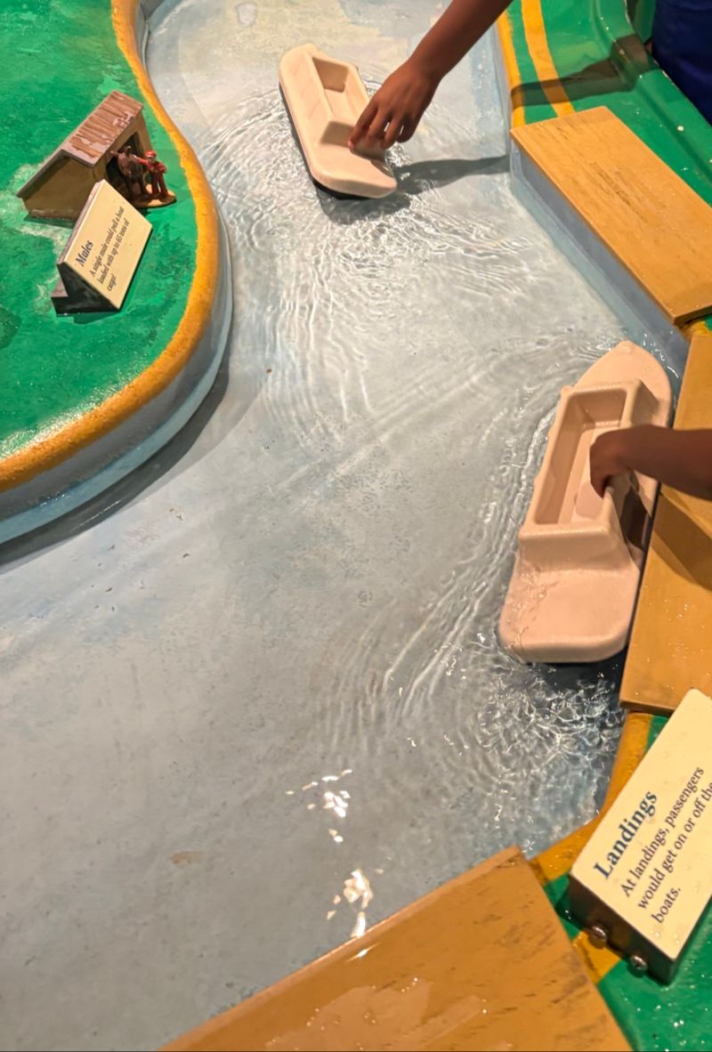Crayon Boats, Robot Cartoons And Pets You Can Wash