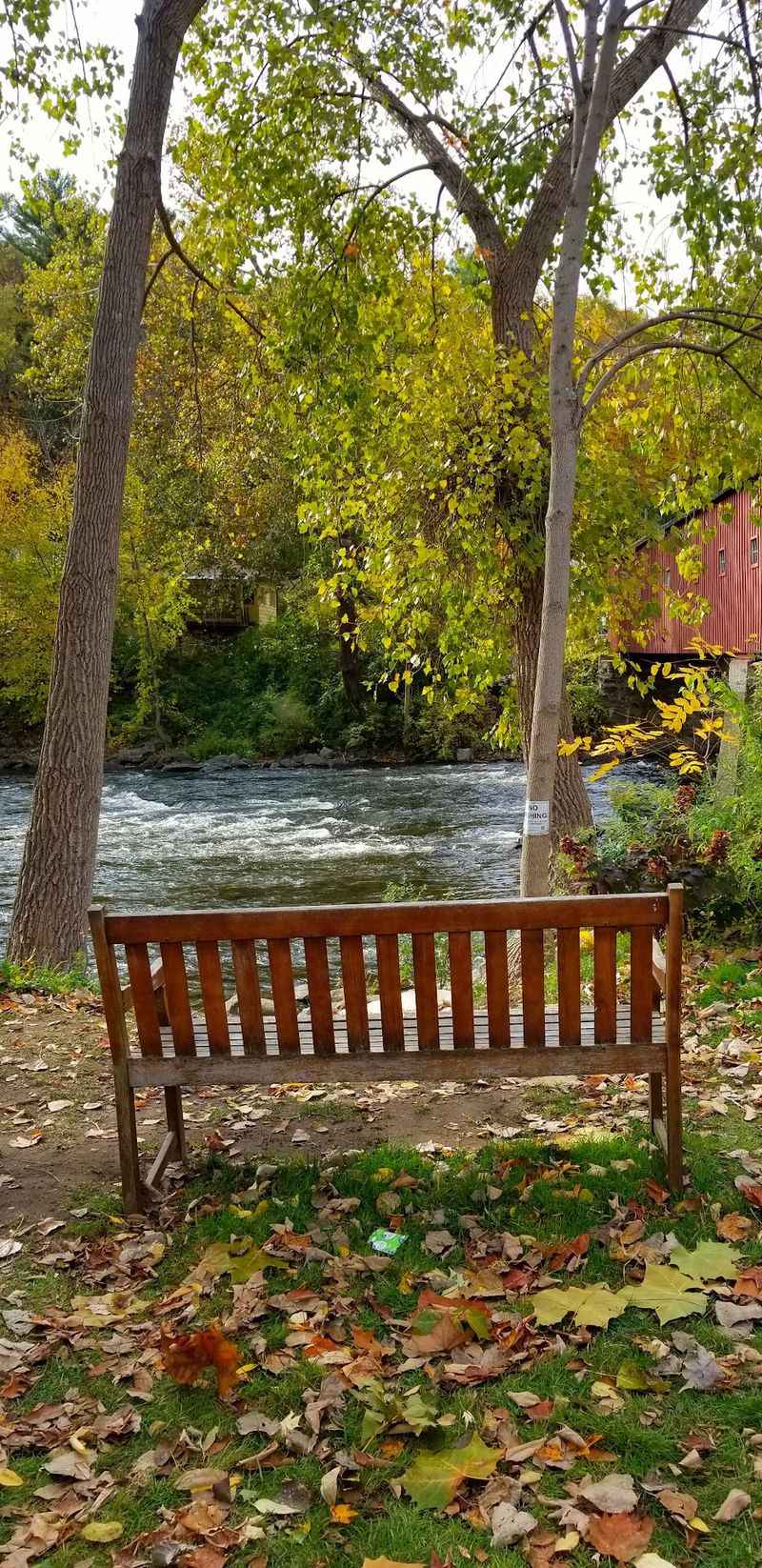 Grab A Bench And Let The Afternoon Slow Down