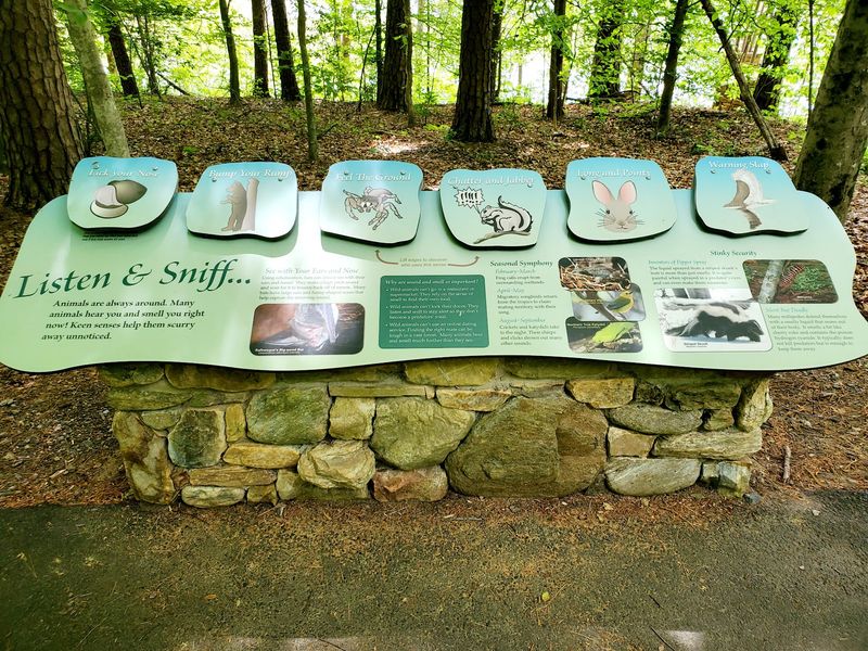 The Lake Offers Much More Than One Wildlife Encounter