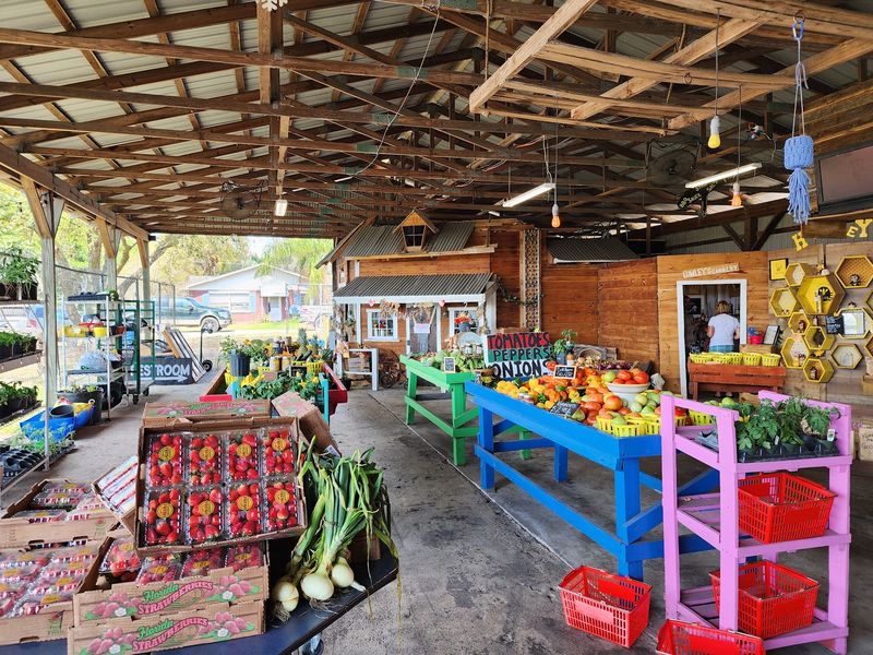 Lumley's Farm and Market, Plant City, FL