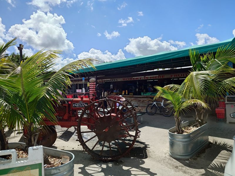 The Everglades Are Basically Next Door