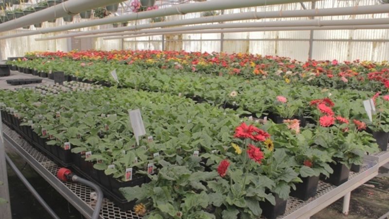 Shopping At The Source Is The Smart Money Move