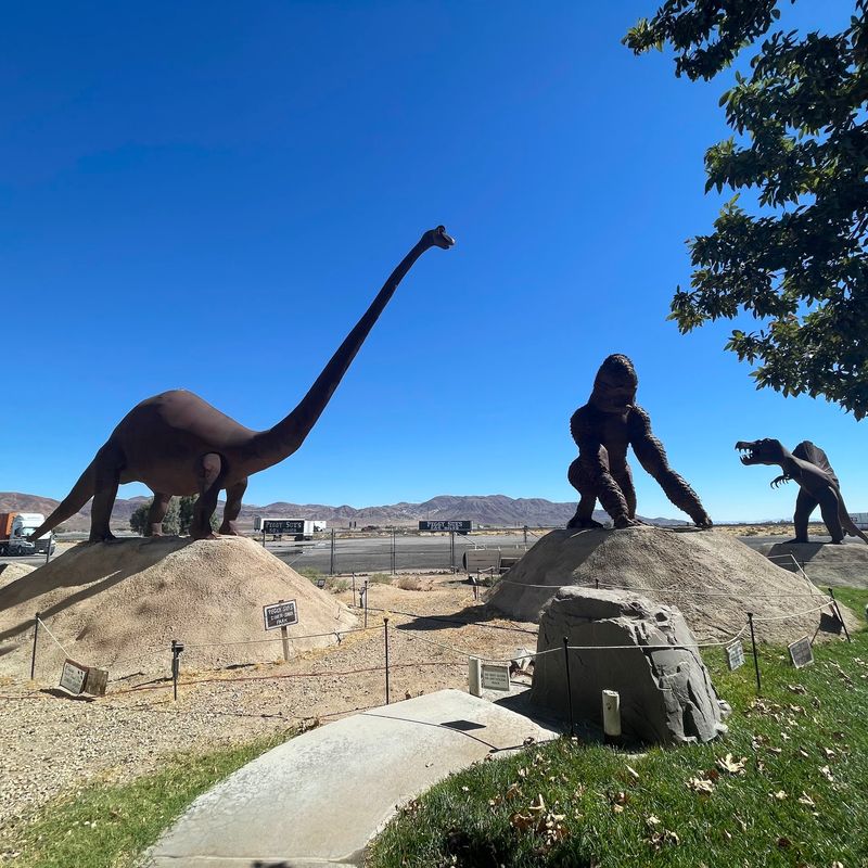 Dinersaur Park Out Back