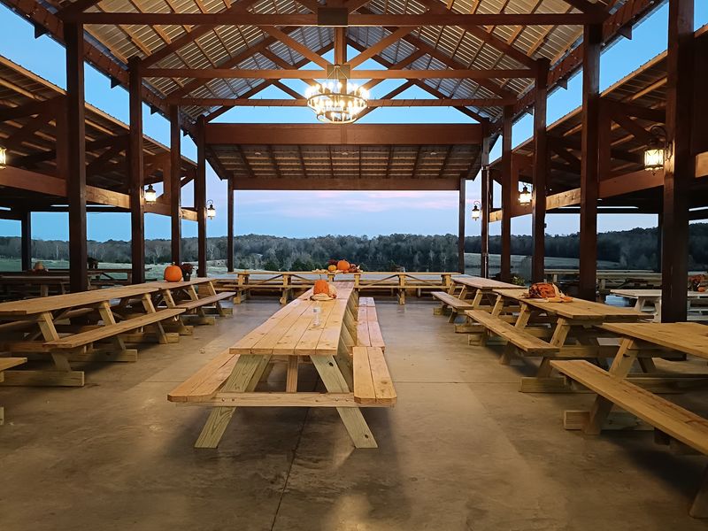 What To Know Before Visiting Jackson Farm’s Fall Festival