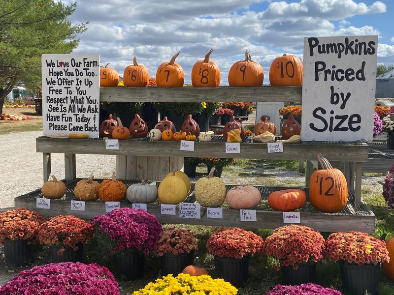 Kroul Farms, Mt Vernon