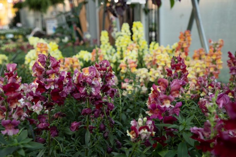 Plan Your Trip Around These Easy Weekly Hours