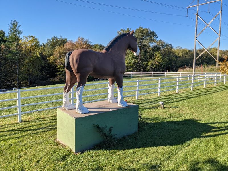 Horses At The Gate