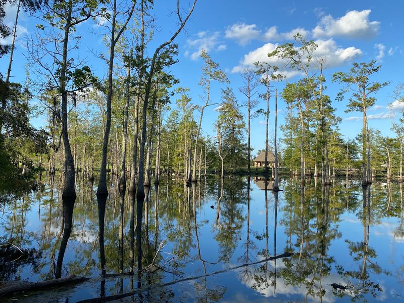 Sam Houston Jones State Park