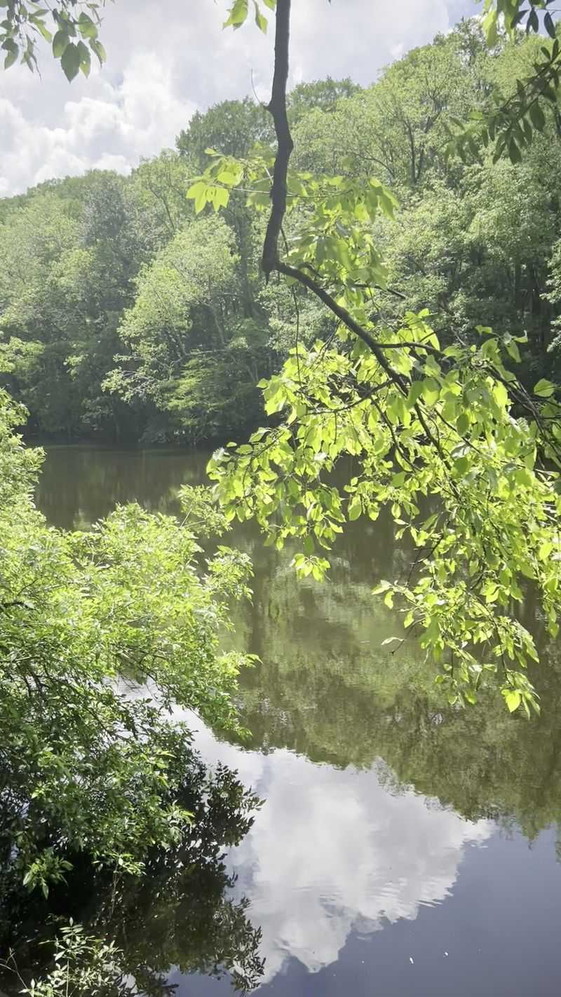 Save Some Time For The Lake That Started As A Wandering River