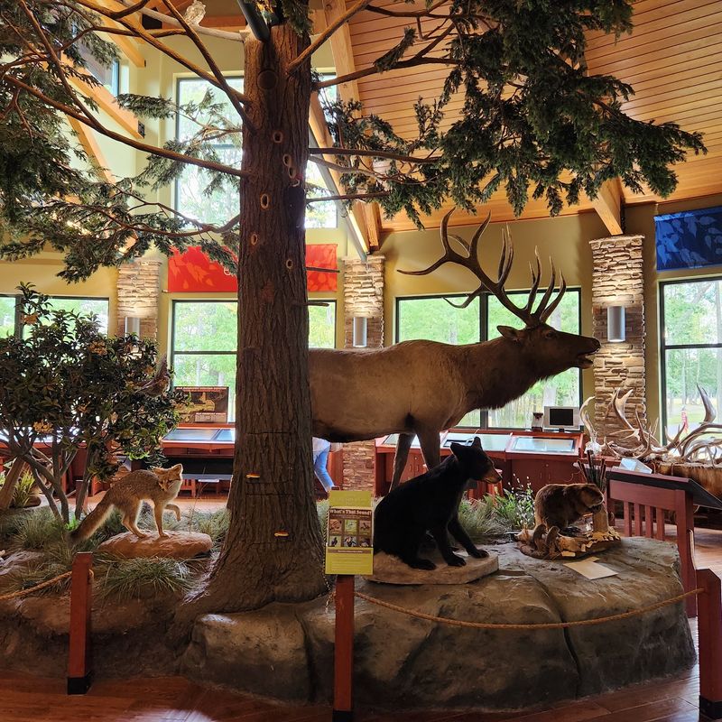 Inside The Elk Country Visitor Center
