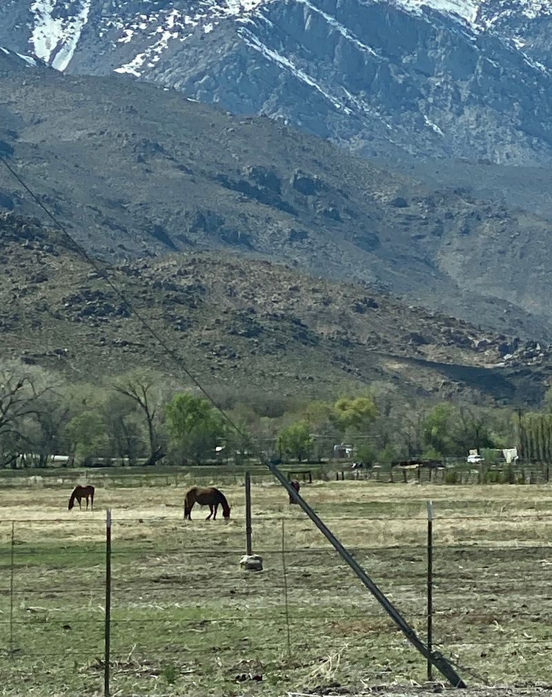 Picnic Tables, a Barn, and Big Mountain Views