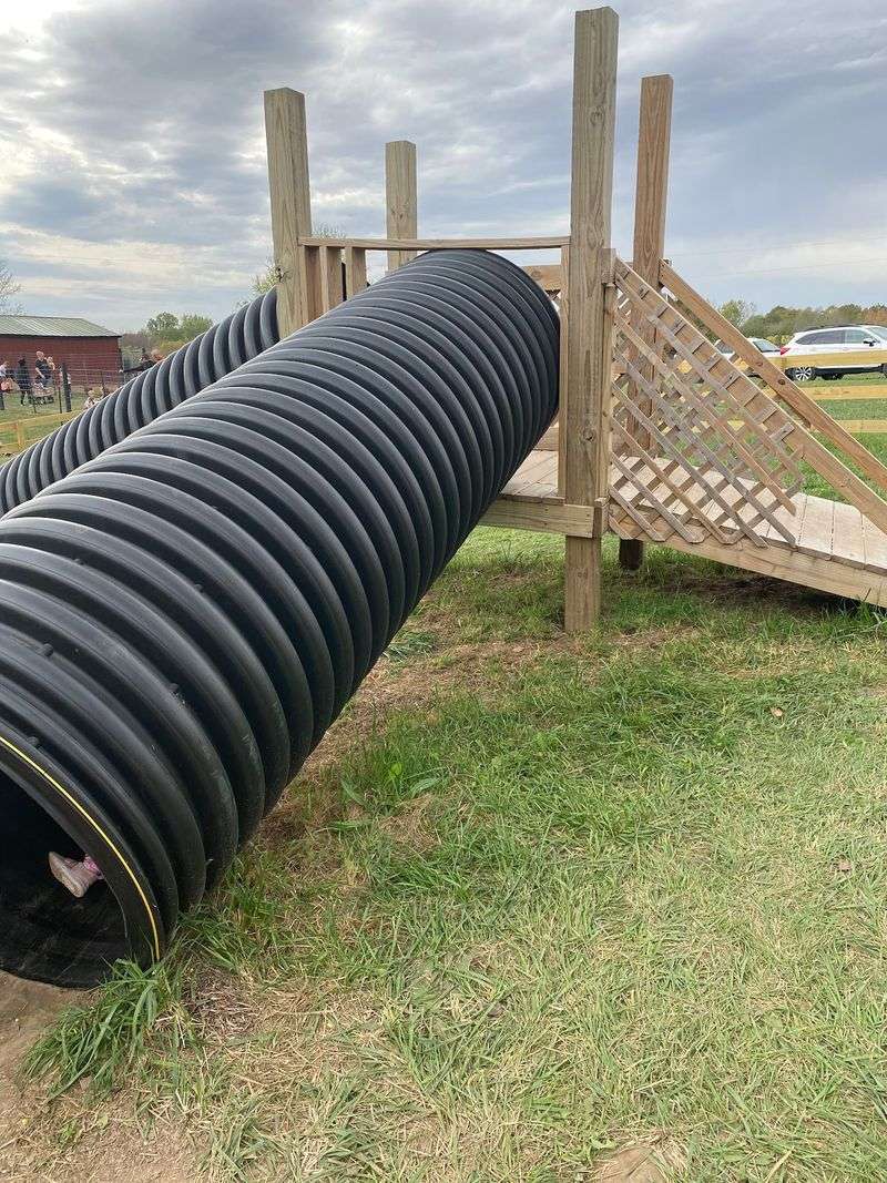 Kids Will Burn Off Every Donut In The Fields Of Fun