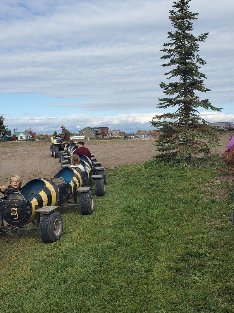 The Bumble Bee Barrel Train Adds A Moving Break