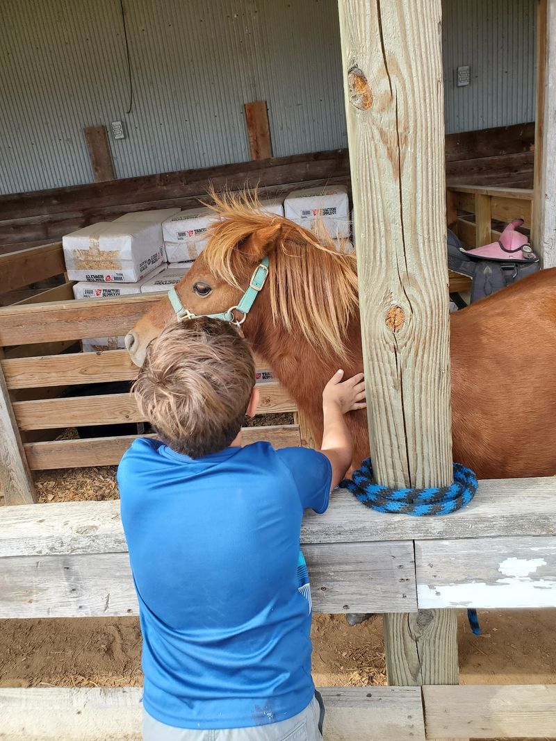Pig Races, Pony Rides, And Giant Slides Keep Families Busy