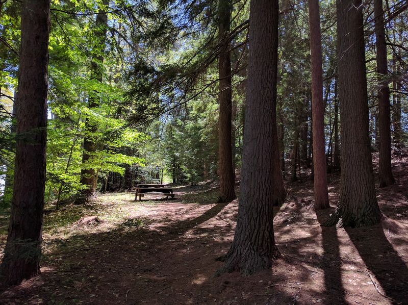Current Access Makes The Bridge And Trail Easy To Pair