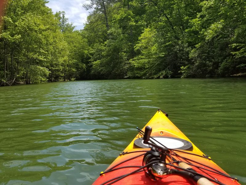Swimming And Paddling Keep Summer Simple