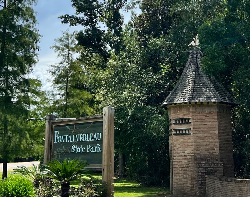 Everyone Gets In On The Fun At This Inclusive Playground