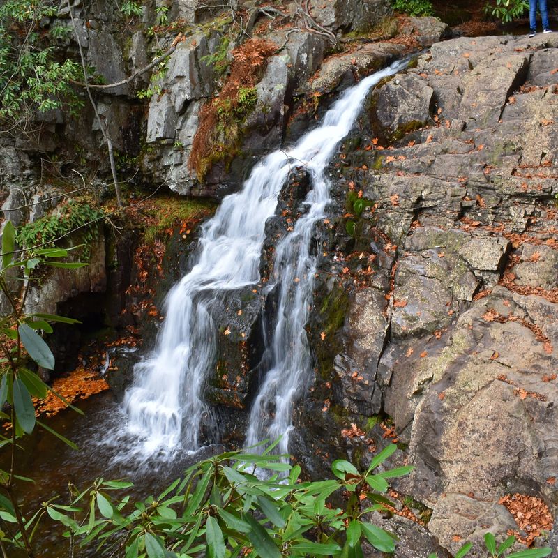 Hawk Falls