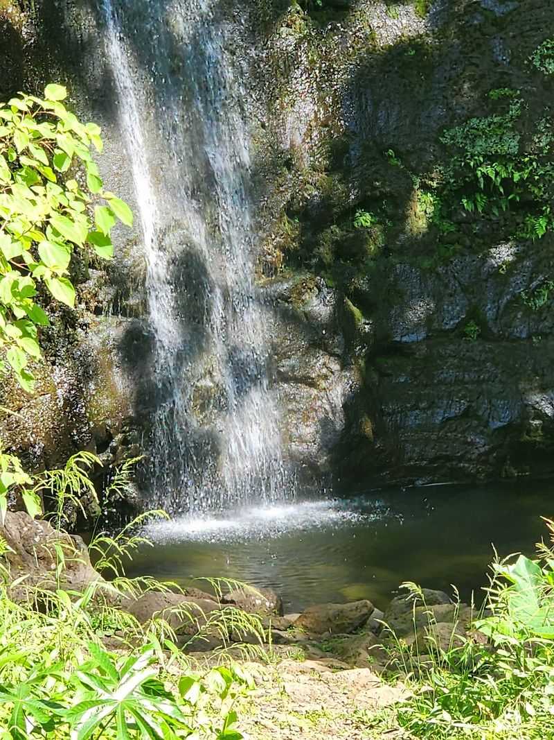 Mānoa Falls
