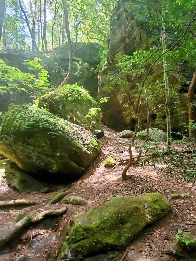 House-Size Sandstone Boulders Line The Route