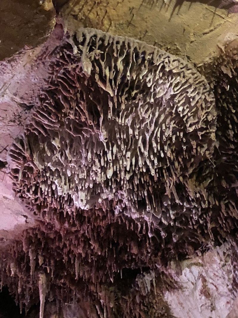 Cave Shields Are One Of Lehman Caves’ Distinctive Features