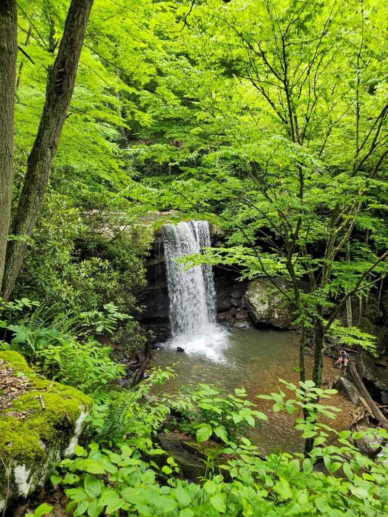 Cucumber Falls