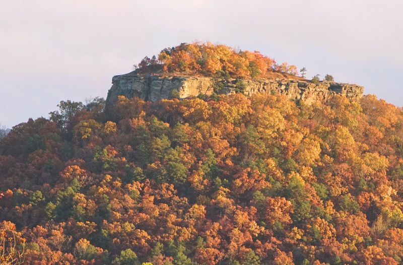Sugarloaf Mountain Trails