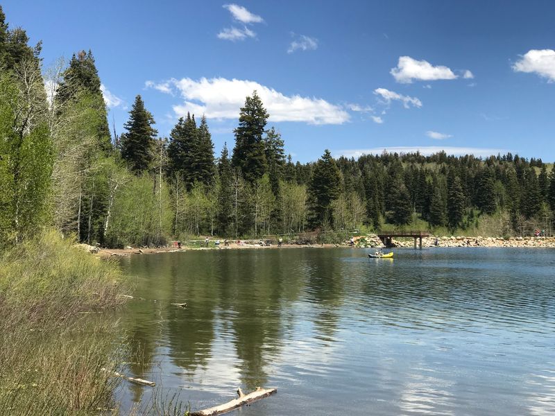 Bring A Fishing Pole Because Payson Lakes Is Calling